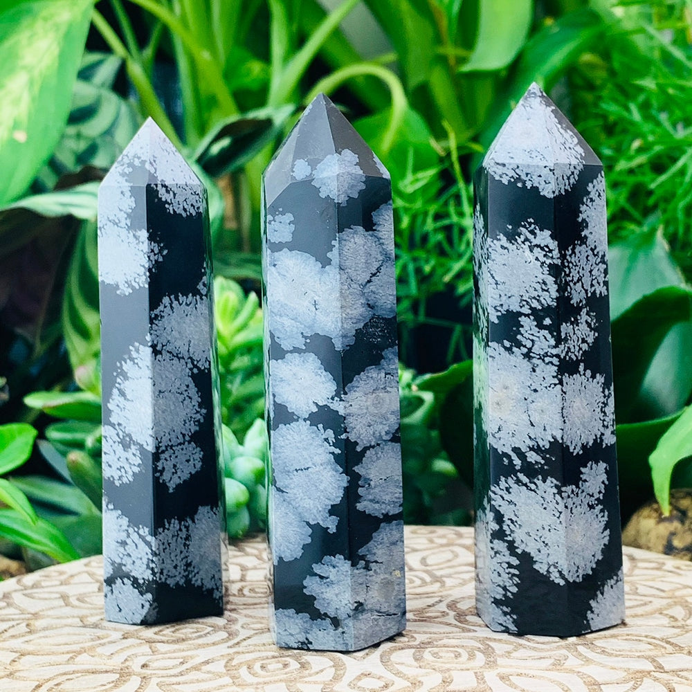 Three polished snowflake obsidian points, glossy black with white snowflake patterns, standing among green plants; each order includes one point