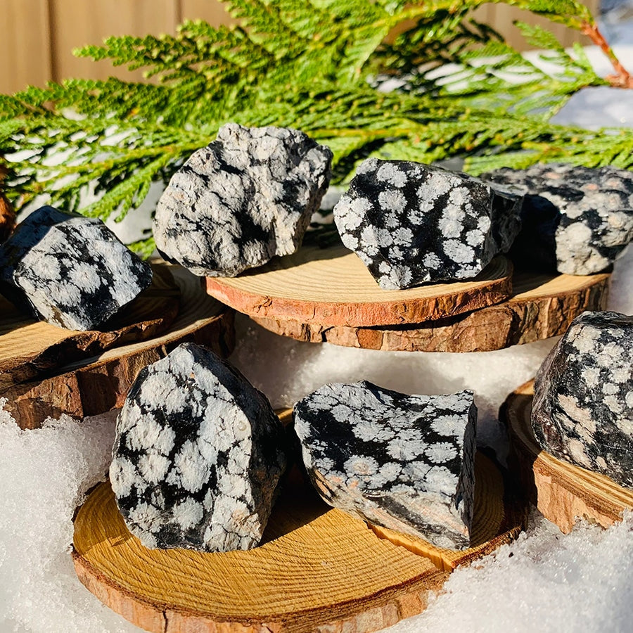 Seven rough snowflake obsidian pieces on wooden slices in the snow, each with its own pattern of white snowflakes on black