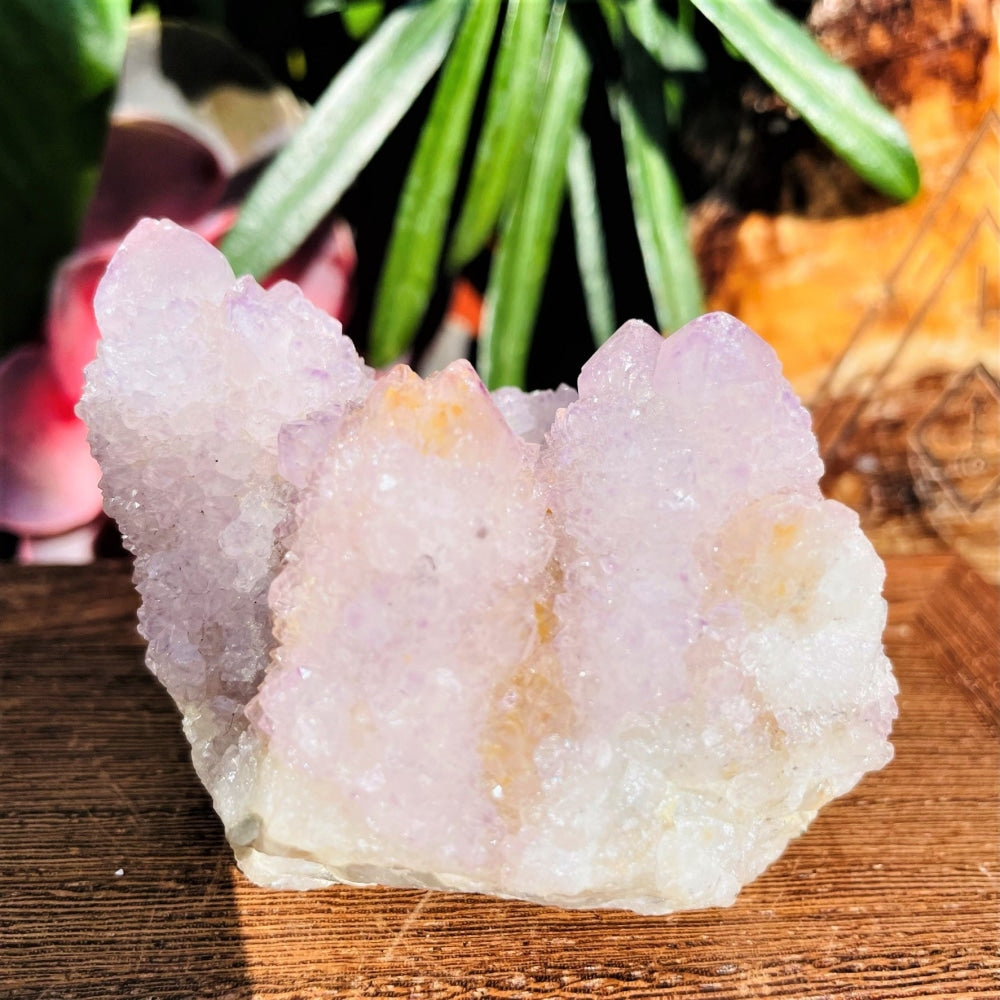 The spirit quartz specimen standing on a wooden surface, its points coated in tiny lavender and white crystals