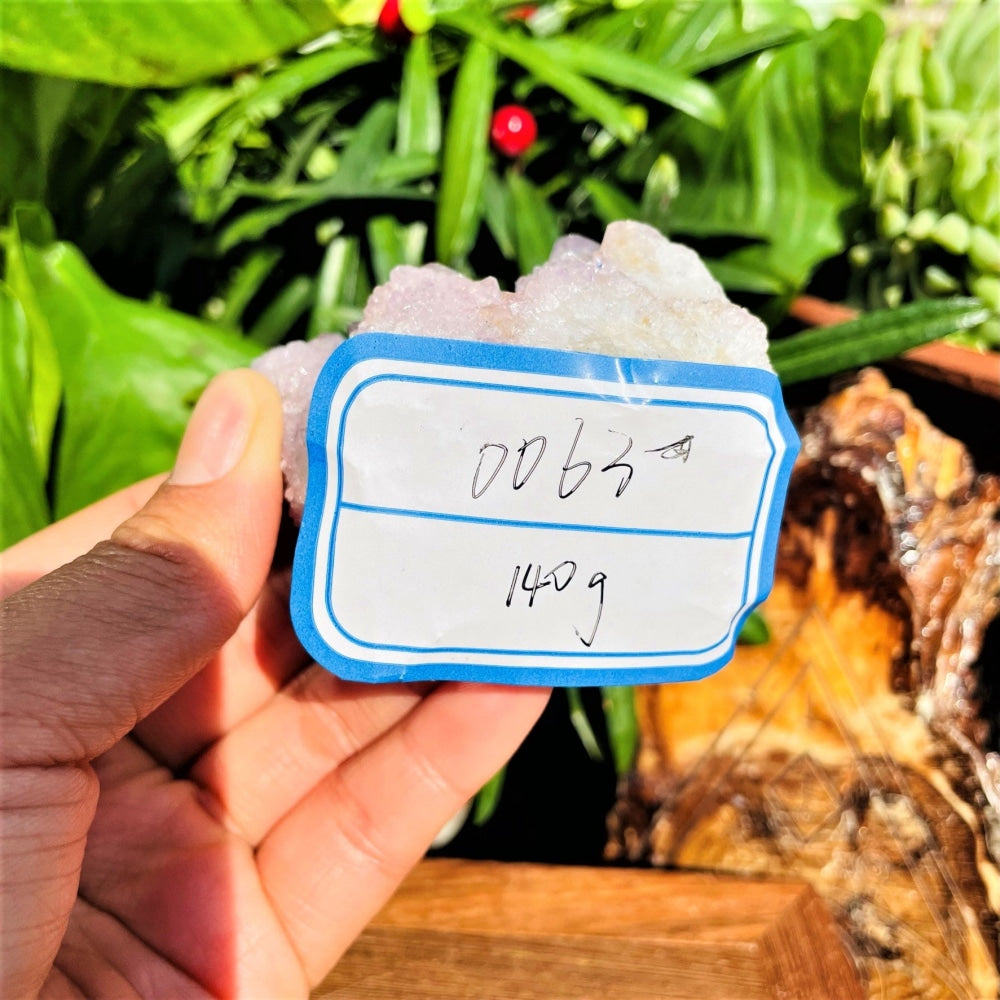 The spirit quartz specimen held in front of leaves with its handwritten tag reading 0063 and 140 g