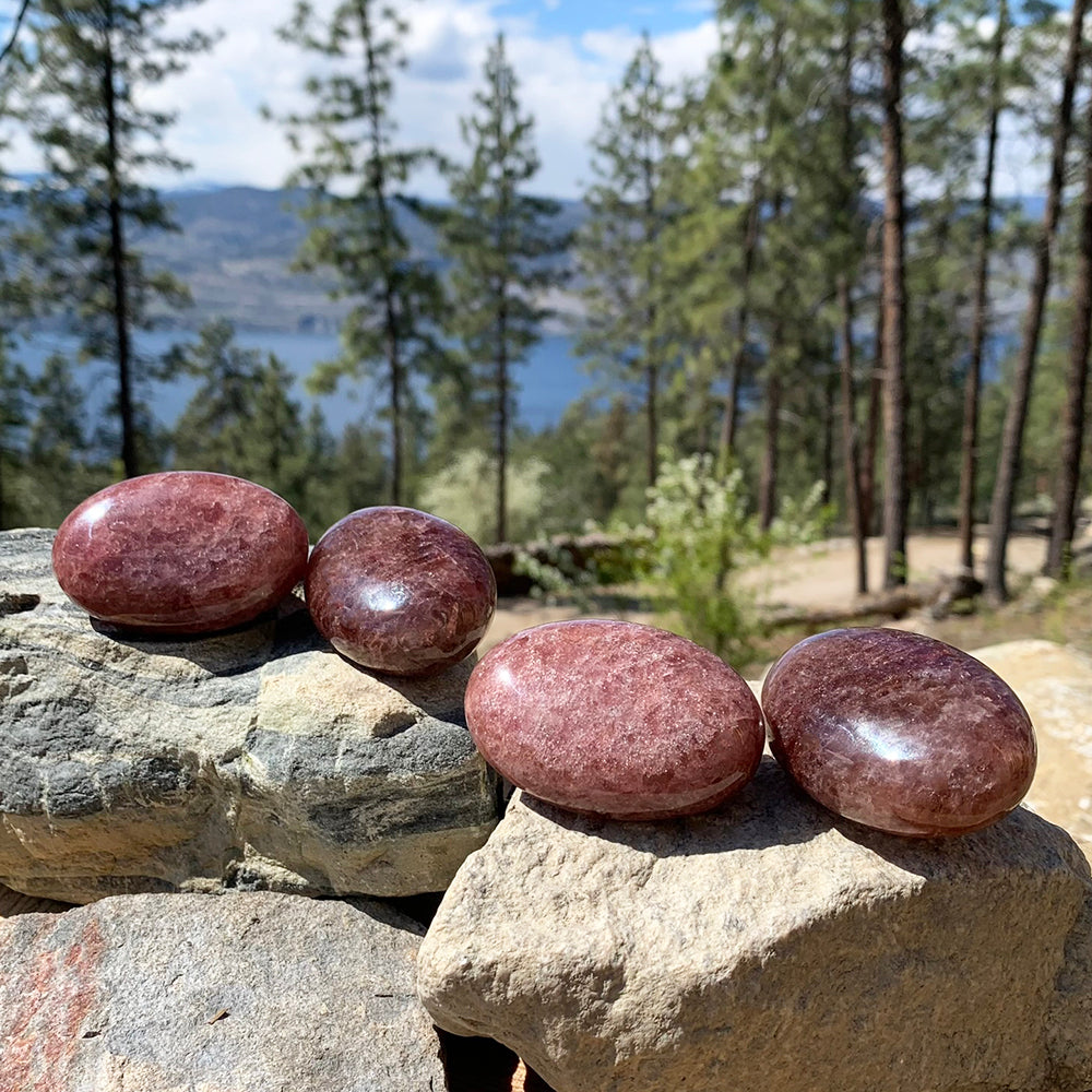 Four polished strawberry quartz palmstones on sunlit rocks above a forest lake, in shades from rosy pink to deep berry red
