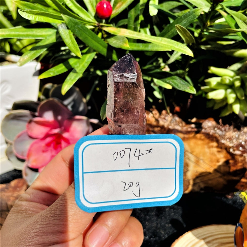 The Super Seven point held in front of green leaves with its handwritten tag reading 0074 and 20 g