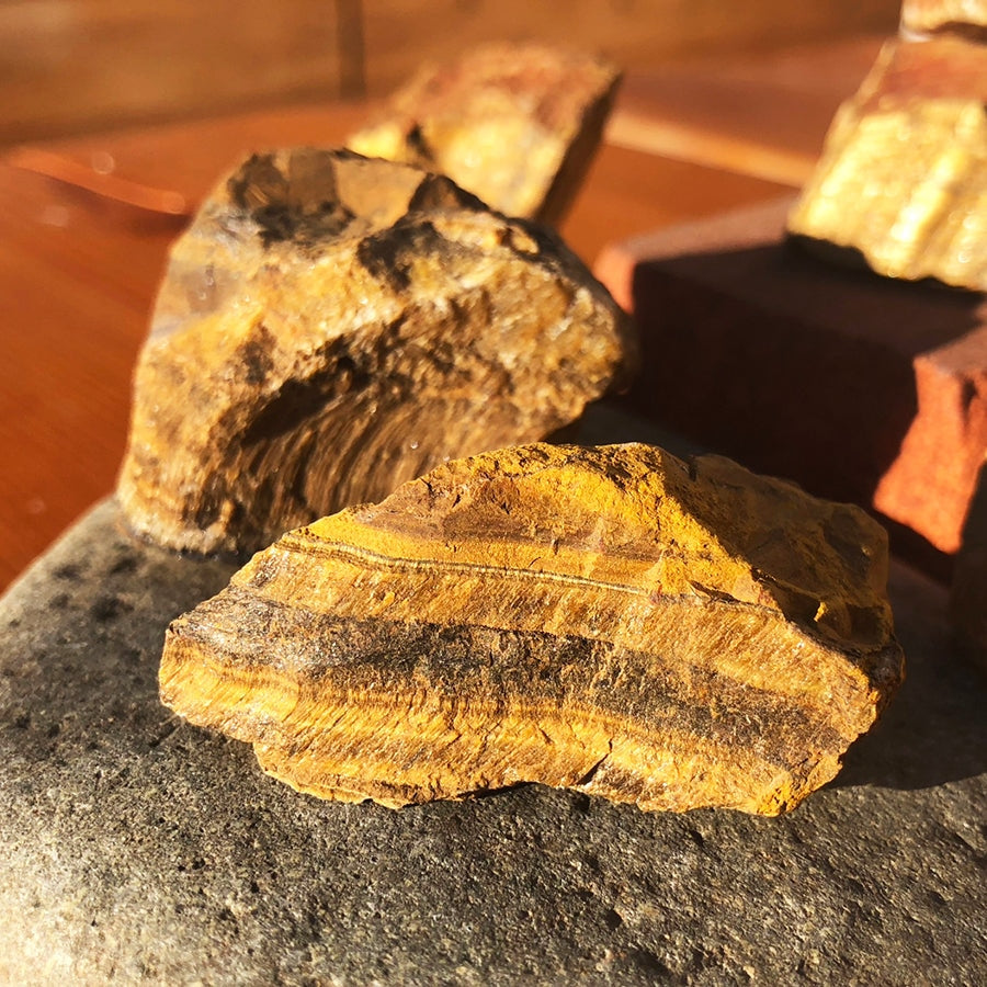 Rough tiger’s eye pieces in golden-brown bands glowing in sunlight on a dark stone; each order includes one piece