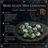 ♍ Vergine - 23 agosto - 22 settembre - Set Zodiac Crystal Fusion con custodia