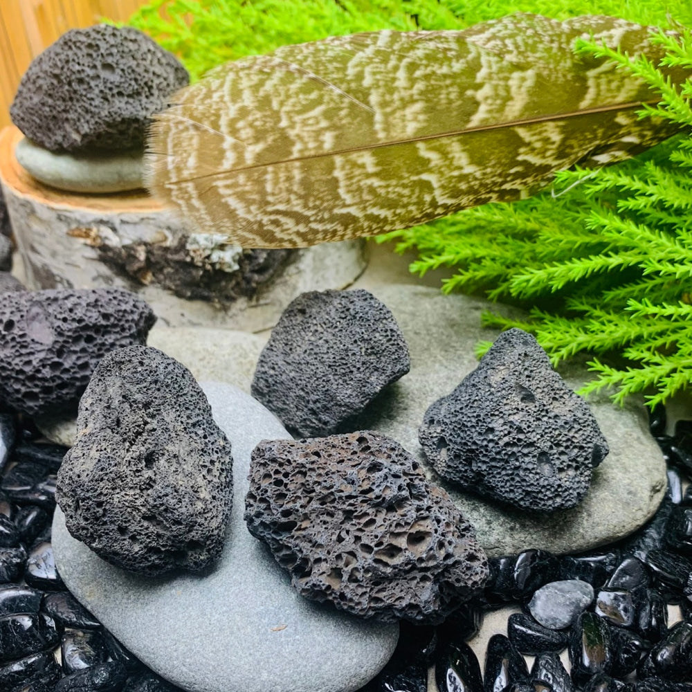 Rough black volcanic lava stones with porous, bubbly surfaces resting on river stones beside a feather and ferns; each order includes one stone