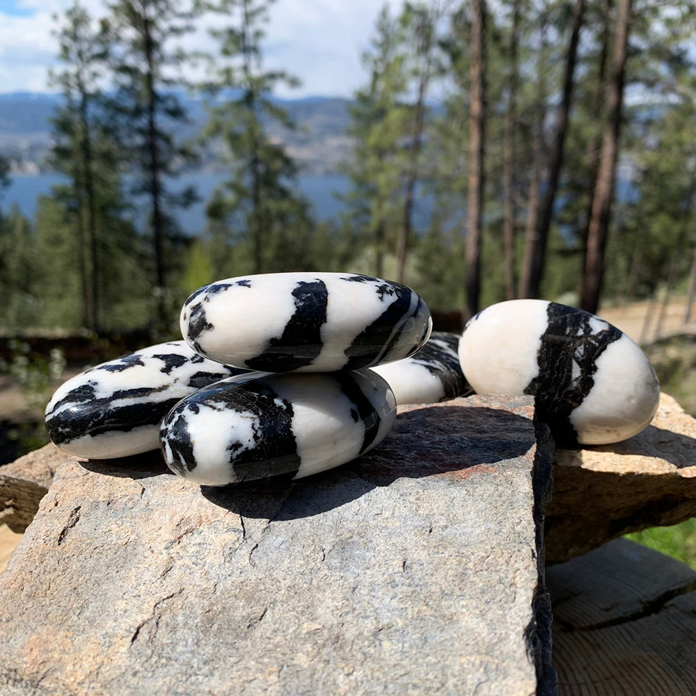 A pile of polished zebra jasper palmstones with black and white bands, on a rock outdoors among pines